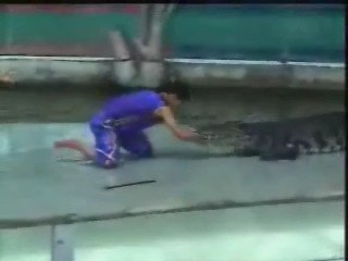 ���� ���� �������